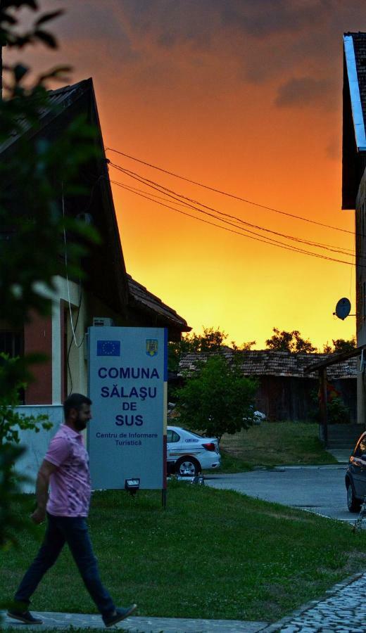 Pensiunea Salas Salasu de Sus エクステリア 写真