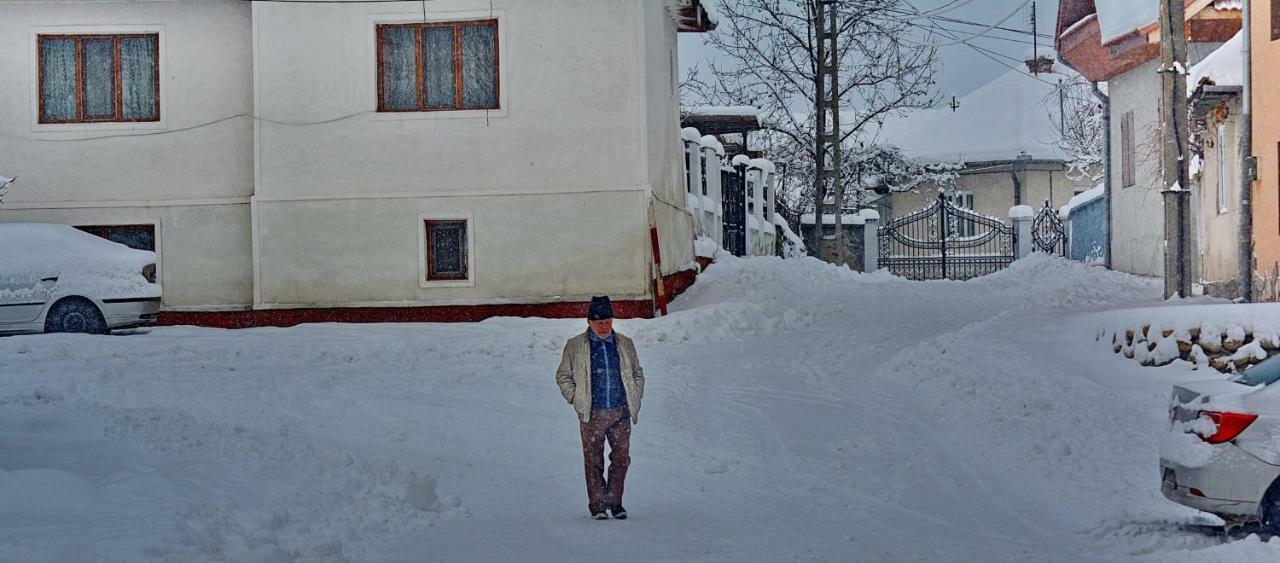Pensiunea Salas Salasu de Sus エクステリア 写真